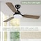 Ipower Ceiling Fan, 40 Inch, Brown Colorï¼Œ3 Blades HIFANXCEIL40BROWN - alternate 9